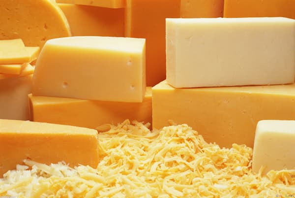 Mozzarella Cheese_Cheese_Cheddar Cheese_ Processed Cheese